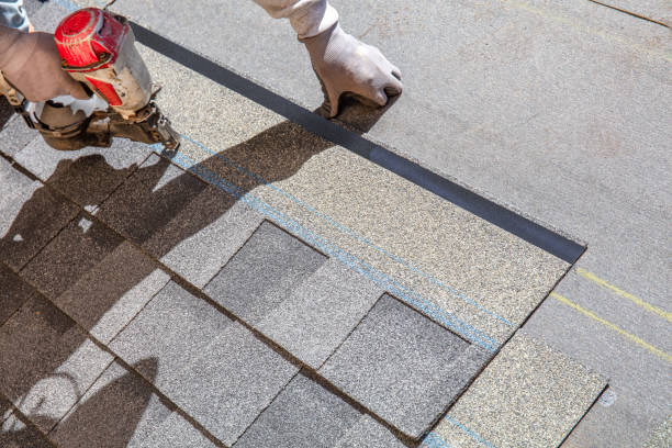 Best Roof Gutter Cleaning  in Wahpeton, ND